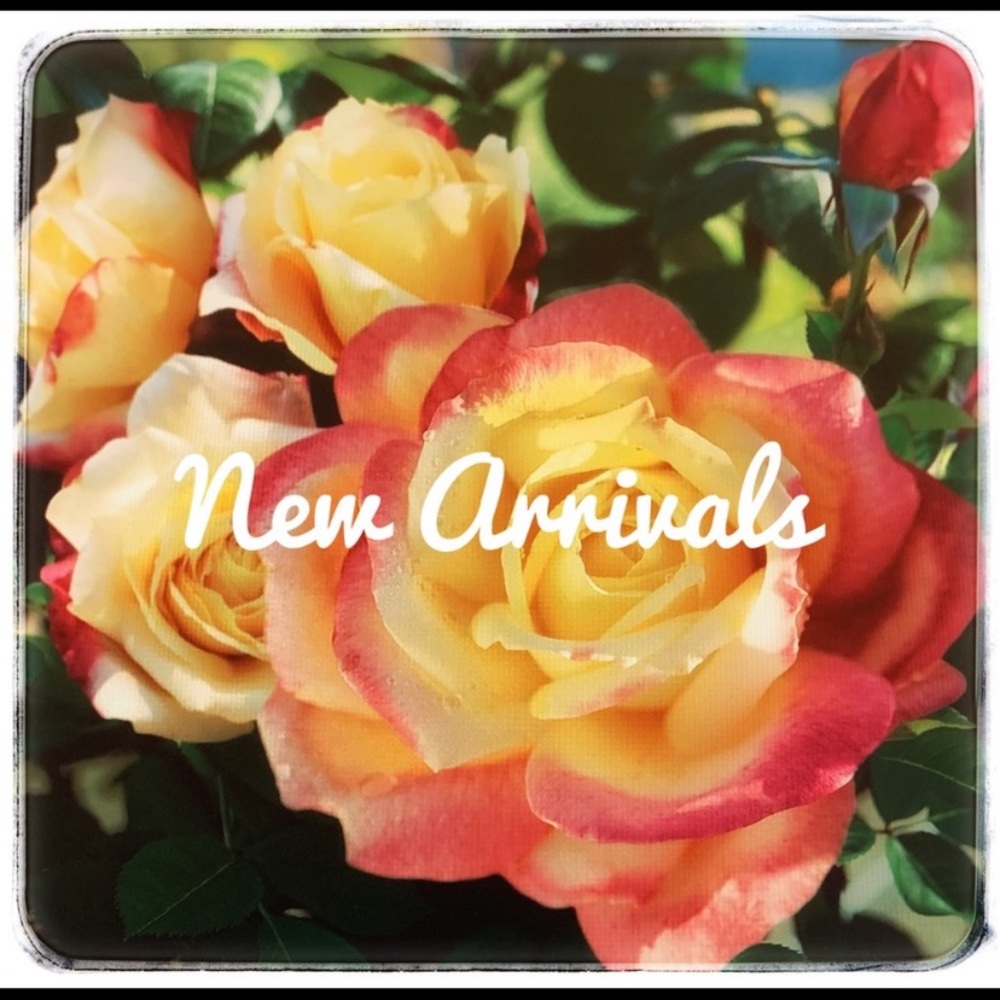 Like this page to be notified of my new arrivals!